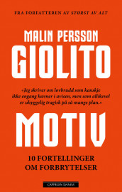 Motiv av Malin Persson Giolito (Innbundet)