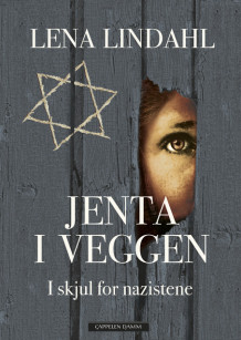 Jenta i veggen av Lena Lindahl (Ebok)