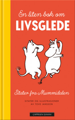 Omslag - En liten bok om livsglede