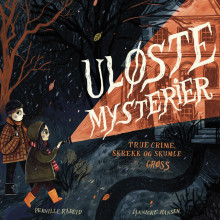 Uløste mysterier av Pernille Tufte Radeid (Nedlastbar lydbok)