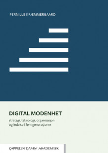 Digital modenhet av Pernille Kræmmergaard (Heftet)