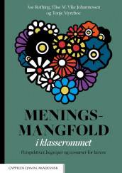 Meningsmangfold i klasserommet av Elise M. Vike Johannessen, Tonje Myrebøe og Åse Røthing (Heftet)