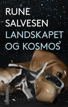 Landskapet og kosmos av Rune Salvesen (Innbundet)