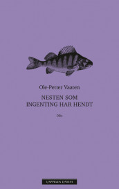 Nesten som ingenting har hendt av Ole-Petter Vaaten (Ebok)