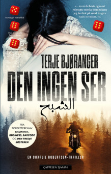 Den ingen ser av Terje Bjøranger (Ebok)