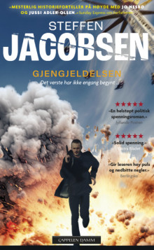 Gjengjeldelsen av Steffen Jacobsen (Ebok)