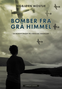 Bomber fra grå himmel av Sigbjørn Mostue (Innbundet)