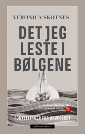 Det jeg leste i bølgene av Veronica Skotnes (Ebok)