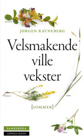 Sankeboka sommer av Jørgen Ravneberg (Fleksibind)