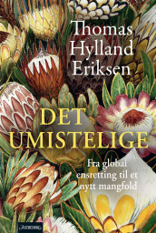 Det umistelige av Thomas Hylland Eriksen (Innbundet)