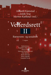 Velferdsrett II av Marion Hirst, Marianne Jenum Hotvedt, Julia Köhler-Olsen, Olav Molven, Bente Ohnstad, Mons Oppedal og Gunnbritt Søvik (Heftet)