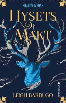 I lysets makt av Leigh Bardugo (Ebok)