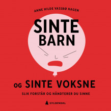 Sinte barn og sinte voksne av Anne Hilde Vassbø Hagen (Nedlastbar lydbok)