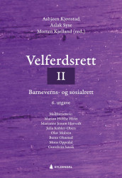 Velferdsrett II av Marion Hirst, Marianne Jenum Hotvedt, Julia Köhler-Olsen, Olav Molven, Bente Ohnstad, Mons Oppedal og Gunnbritt Søvik (Heftet)