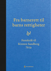 Fra barnerett til barns rettigheter (Innbundet)