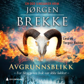 Avgrunnsblikk av Jørgen Brekke (Nedlastbar lydbok)