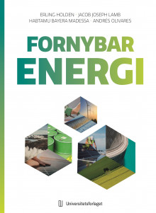 Fornybar energi av Erling Holden, Jacob Joseph Lamb, Habtamu Bayera Madessa og Andrés Olivares (Heftet)