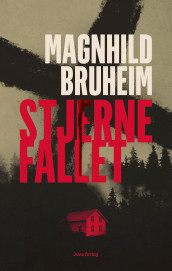 Stjernefallet av Magnhild Bruheim (Ebok)