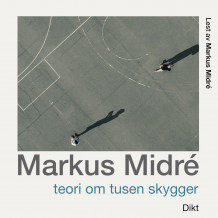 Teori om tusen skygger av Markus Midré (Nedlastbar lydbok)