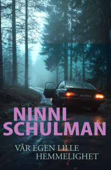 Vår egen lille hemmelighet av Ninni Schulman (Ebok)