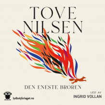 Den eneste broren av Tove Nilsen (Nedlastbar lydbok)