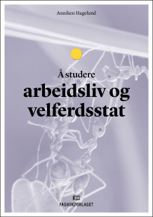 Å studere arbeidsliv og velferdsstat av Anniken Hagelund (Ebok)