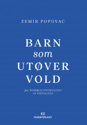 Barn som utøver vold av Zemir Popovac (Heftet)