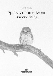 Språklig oppmerksom undervisning av Hanne Haugli (Ebok)