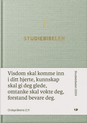 Studiebibelen (Innbundet)