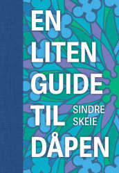 En liten guide til dåpen av Sindre Skeie (Innbundet)