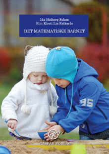 Det matematiske barnet av Ida Heiberg Solem og Elin Kirsti Lie Reikerås (Heftet)